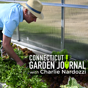Connecticut Garden Journal-logo