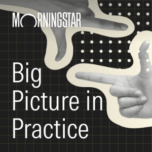 Big Picture In Practice-logo