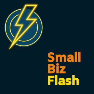 Small Biz Flash-logo
