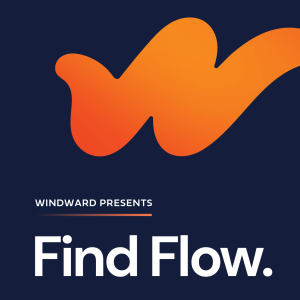Find Flow-logo