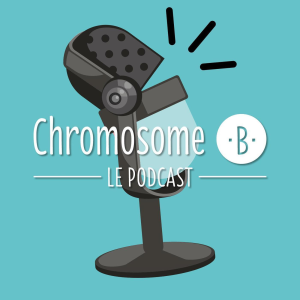 Chromosome B.-logo