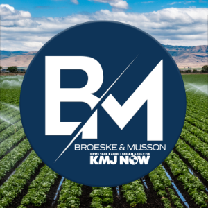 Broeske and Musson-logo