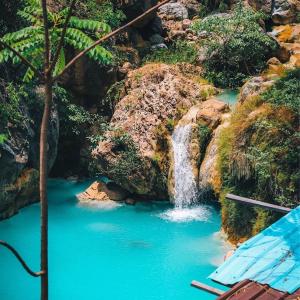 Perception of life-logo