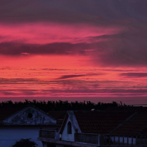 Cast the most beautiful wall-logo