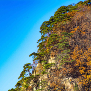 Send you a good dream-logo