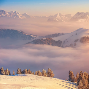 You are not alone-logo