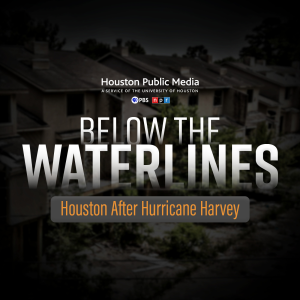 Below the Waterlines: Houston After Hurricane Harvey-logo