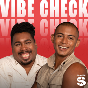 Vibe Check-logo