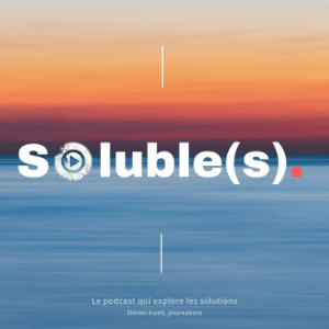 Soluble(s)-logo