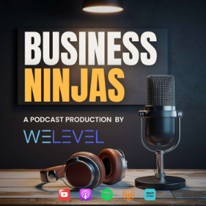 Business Ninjas by WeLevel-logo
