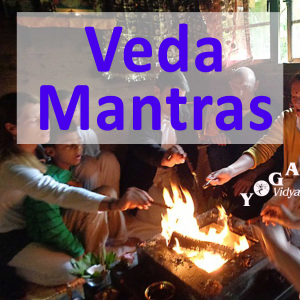 Veda Mantra Recitations-logo
