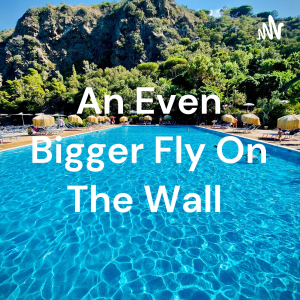 An Even Bigger Fly On The Wall-logo