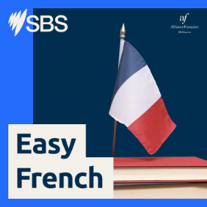 SBS Easy French-logo