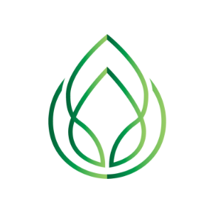 Triet Do-logo