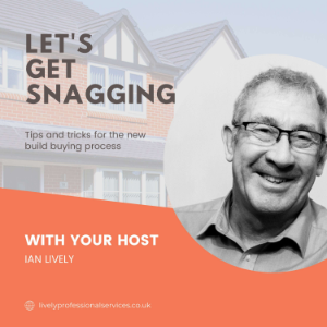 Let's Get Snagging-logo