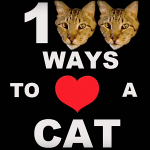 100 Ways to Love A Cat-logo