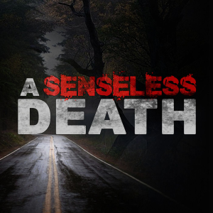 A Senseless Death-logo