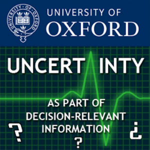Uncertainty as part of decision-relevant information-logo