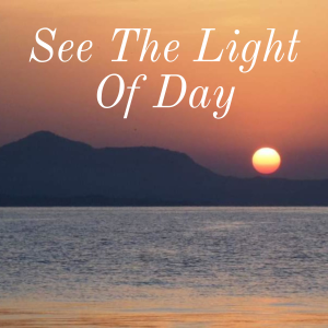 See The Light Of Day-logo