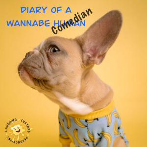 Diary of a Wannabe Comedian-logo