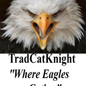 TradCatKnight-logo