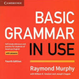 Basic Grammar in use-logo