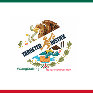 Targeted Individuals Mexico-logo