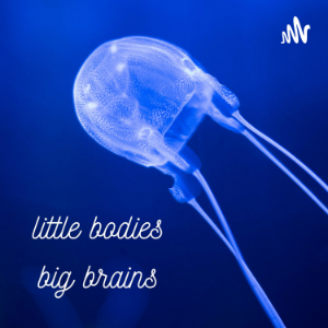 Little Bodies, Big Brains-logo