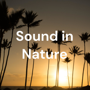 Sound in Nature Lite-logo