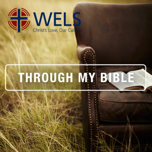 WELS Through my Bible in Three Years-logo
