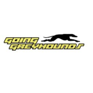 Chasing the Lure-logo