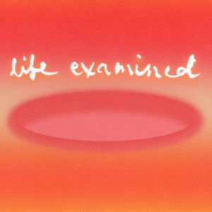 Life Examined-logo