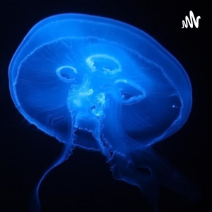 Deep Marine Scenes-logo