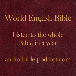 ABP - World English Bible - Blended Mix - January Start-logo