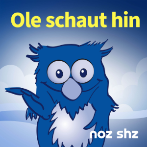 Ole schaut hin-logo