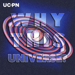 Why This Universe?-logo
