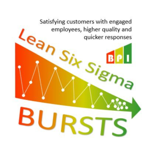Lean Six Sigma Bursts-logo