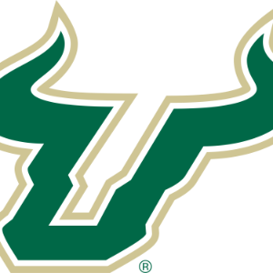 South Florida Bulls Audio Network-logo