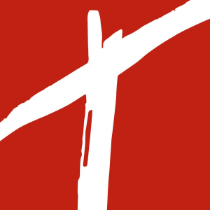 Stiftung Schleife-logo