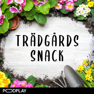 Tradgardssnack-logo