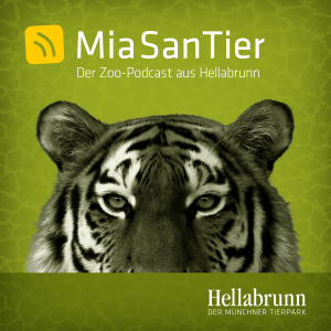 Mia san Tier - Der Zoo-Podcast aus Hellabrunn-logo