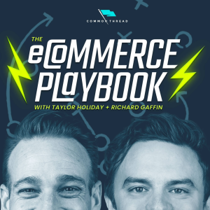 Ecommerce Playbook: Numbers, Struggles & Growth-logo