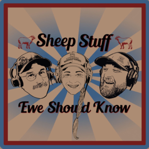 Sheep Stuff Ewe Should Know-logo
