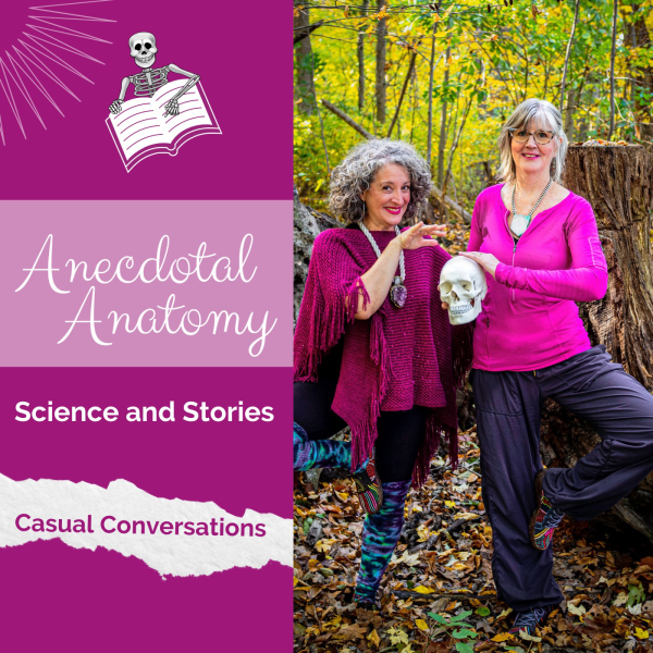 Anecdotal Anatomy | Listen to Podcasts On Demand Free | TuneIn
