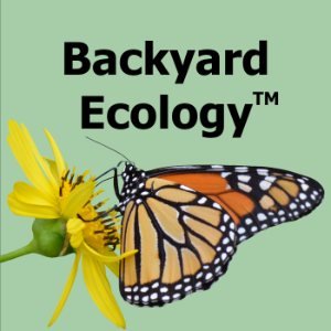 Backyard Ecology™-logo