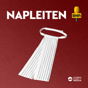 Napleiten-logo