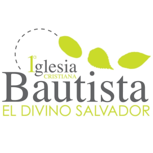 PIB VALLARTA-logo