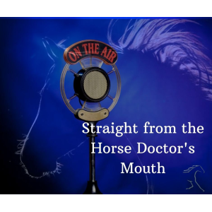 Straight from the Horse Doctor's Mouth-logo