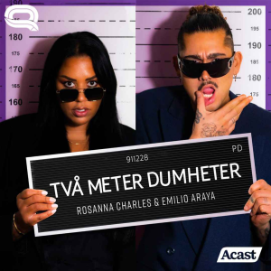 Tva Meter Dumheter-logo