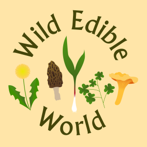 Wild Edible World: A Foraging Podcast-logo